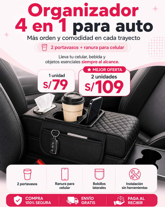 Organizador 4 en 1 para Auto